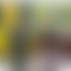 Ejército asesta duro golpe al ELN en Tibú: un muerto y cuatro capturados en operativo militar