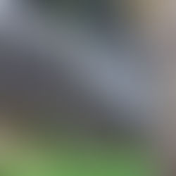 Asesinato en la vía Cúcuta El Zulia en el sector de Urimaco