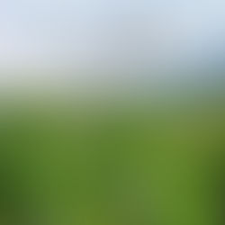 Aspersión en el Catatumbo: más crisis en zona de guerra