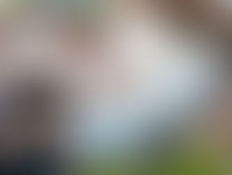 Medellín dice “no” al culto narco en la Comuna 13