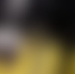 ¡Se busca! En Villa del Rosario un hombre en carro negro le tira gas pimienta a un perrito 