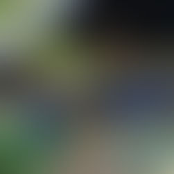 Ejército desmantela mega laboratorio de cocaína en zona rural de El Zulia