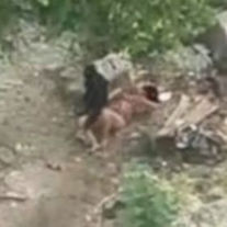 Brutal agresión en Gaira: Hombre golpeó a una mujer y huyó del lugar