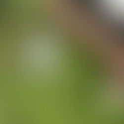 Adolescente de 15 años muere al caer desde el piso 22 de un edificio residencial en Bogotá