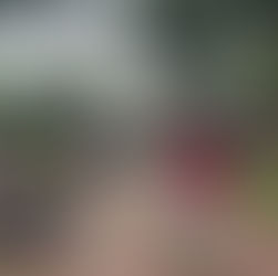 #EnVivo Así va la concentración política con #AlvaroUribeVelez y #PalomaValencia en Cúcuta 309