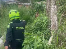 ¿El policía actuó bien?