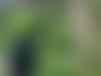 ¿El policía actuó bien?