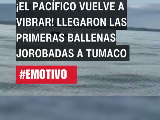 ¡El Pacífico vuelve a vibrar!