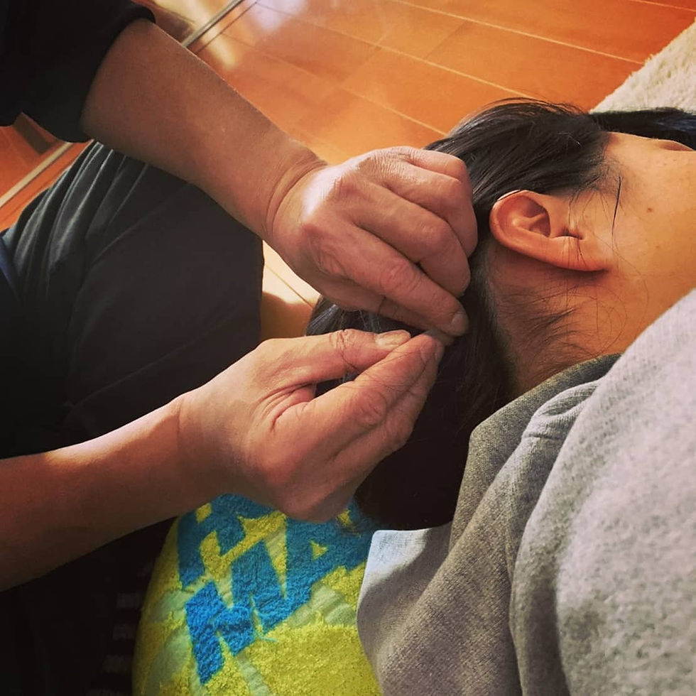 秋のシニアメンテナンスキャンペーン始まりました！