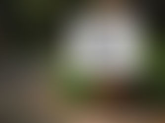 How to Accept Love After Trauma: A Healing Journey Toward Healthy Relationships