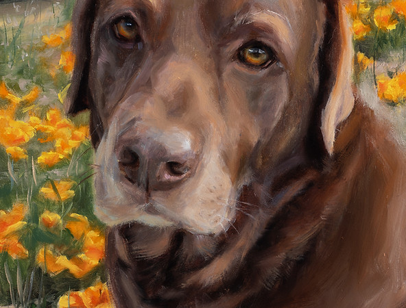 Rocko Memorial Portrait