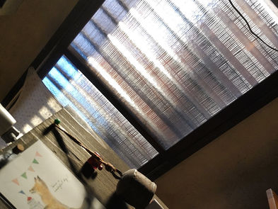 おはようございます。