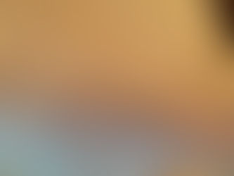 おはようの虹。