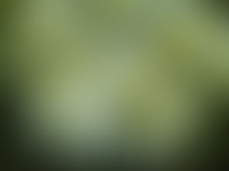 うたたねご飯売り切れです。