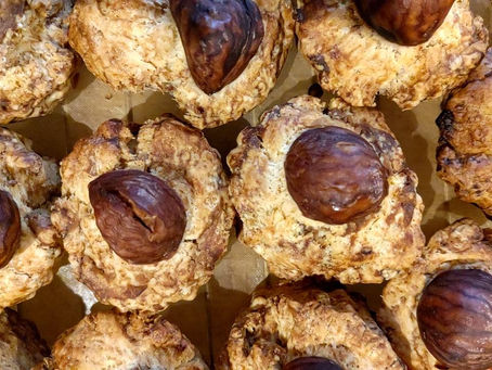 マフィンはお休みです。