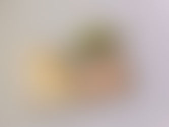 【追記】31日まで宜しくお願い致します。