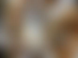 【追記】キッシュの日。