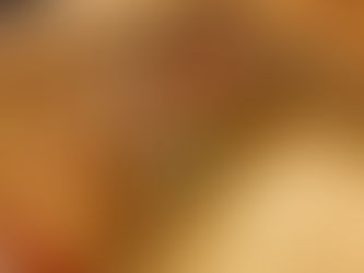 3のつく日はキッシュの日。