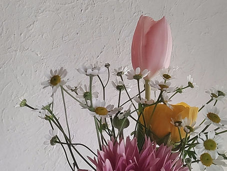 【追記の追記】大晦日。