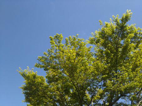 雨も佳し、晴れもまた佳し。