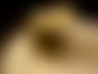 お篭りお供に。