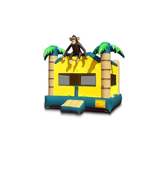 WhatsApp Image 2025-07-17 at 17.56.36_c4750c42.jpg