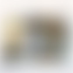 We donated nutritious rations to the Missionaries of Charity,