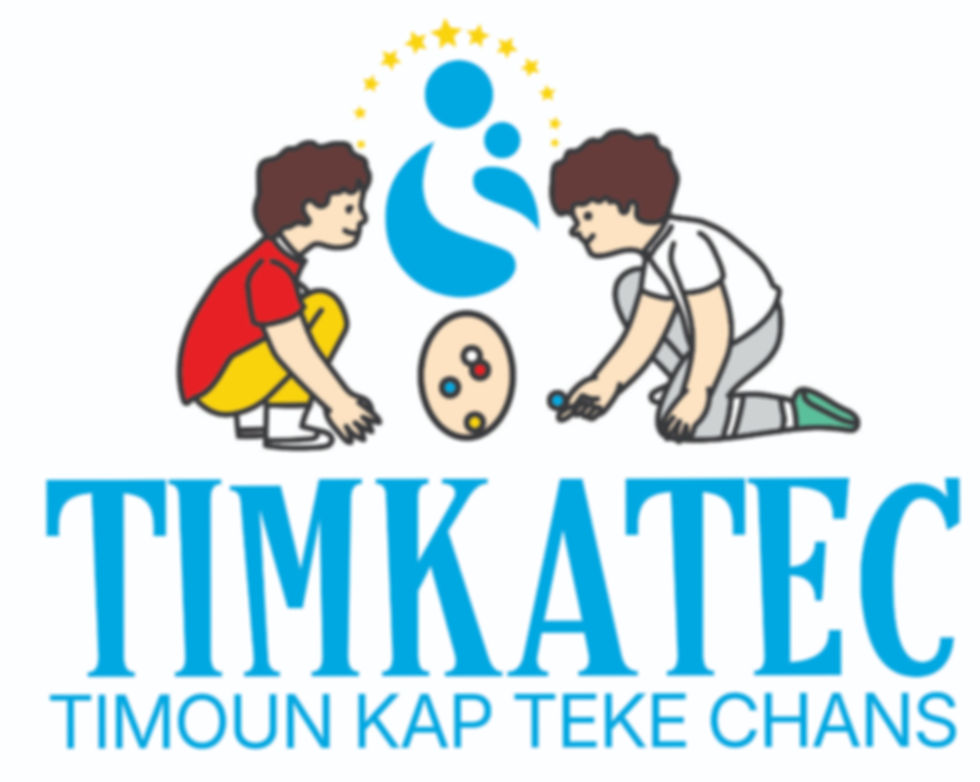 Logo TIMKATEC (1)_edited_edited_edited.jpg