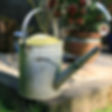 Watering Can_edited.jpg