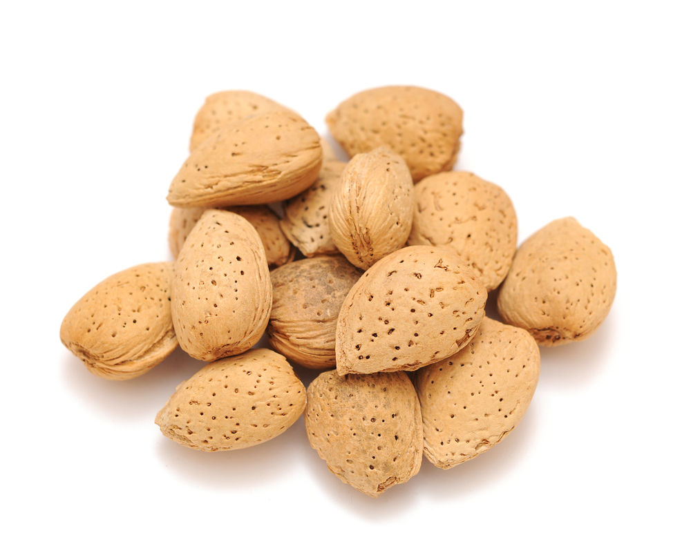 Raw in Shell Almonds