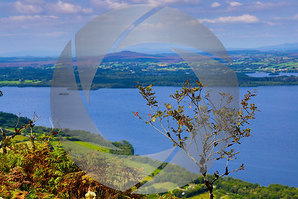 Castlewellan Cover Photo-16.jpg