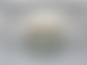 Meetings, Greetings and Musings...by Wendy Hind