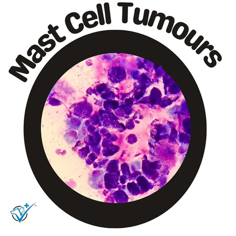 Mast cell tumours