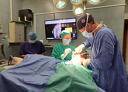 TPLO Surgery