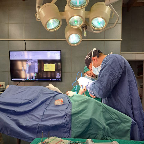 Surgery