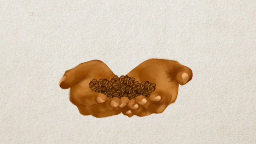 coffee beans hands 2.gif