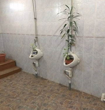 VZUuxmvucRo.jpg