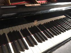 Piano/Keys workshop