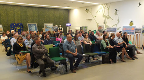 Konferencija „Medžiai milžinai atvirame kraštovaizdyje“  subūrė įvairių sričių specialistus