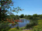 Miniatura: Hacienda Los Lagos