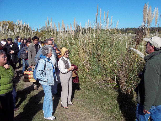 Thumbnail: La Macarena, At the end of the wetland