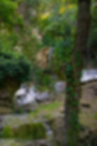 Domaine_de_Barlon.3.jpg