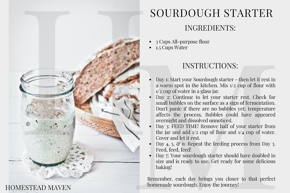 Sourdough Starter Recipe Card