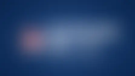 Honoring Our Vets on Veterans Day