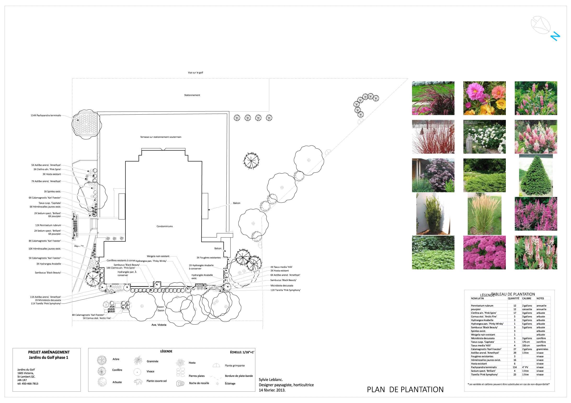 Plan de plantation