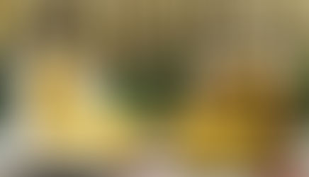 Panettone vs Pandoro