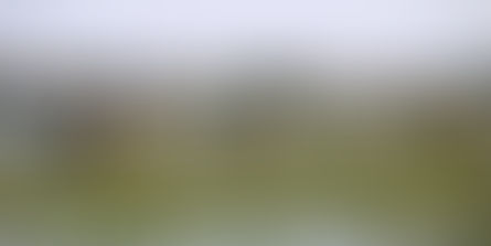 Kauno diena: lėtinė žemės ūkio liga – melioracija 