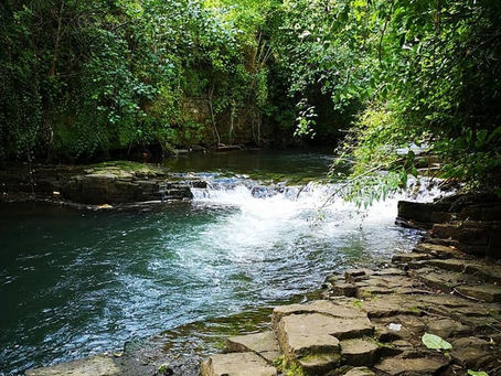 Afon Lwyd: The Story of Ponthir’s Silver Stream