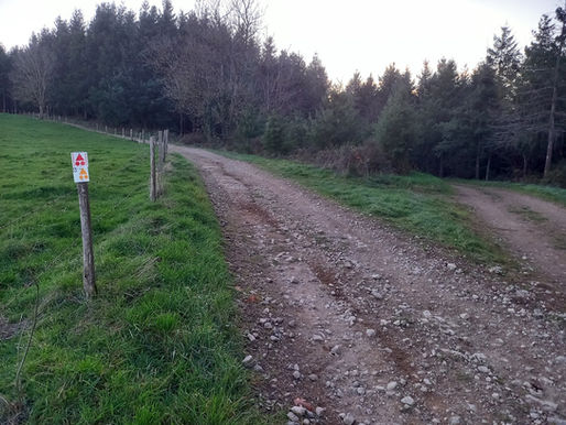 Intervention balisage circuit 4 (et une partie du 6)