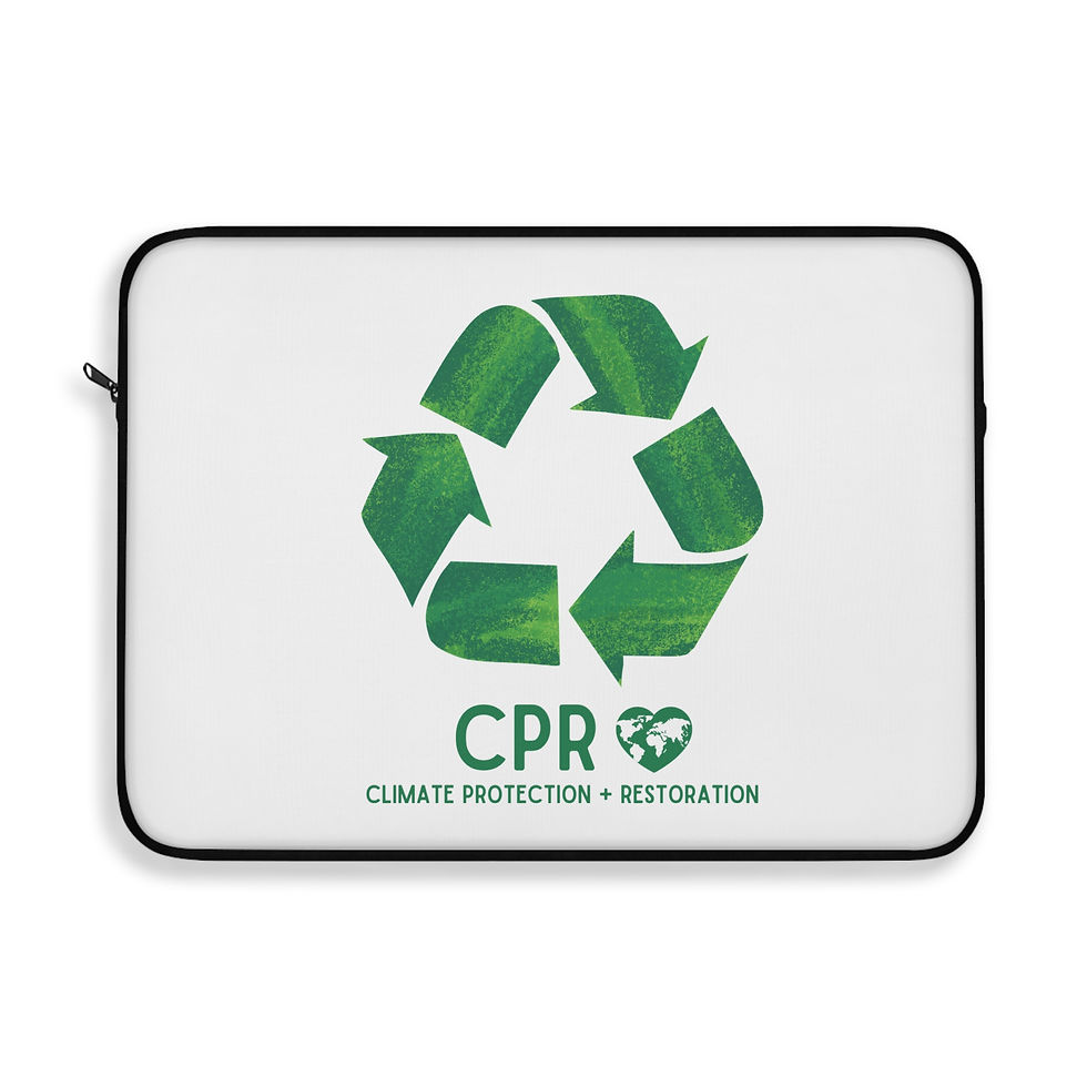 Thumbnail: Recycle Laptop Sleeve